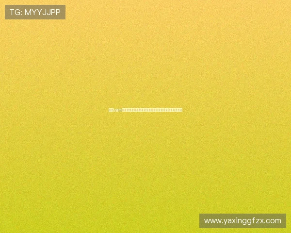 亚星van改装与个性化定制方案推荐，满足不同用户的个性化需求